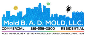 Picture link to moldbadmold.com